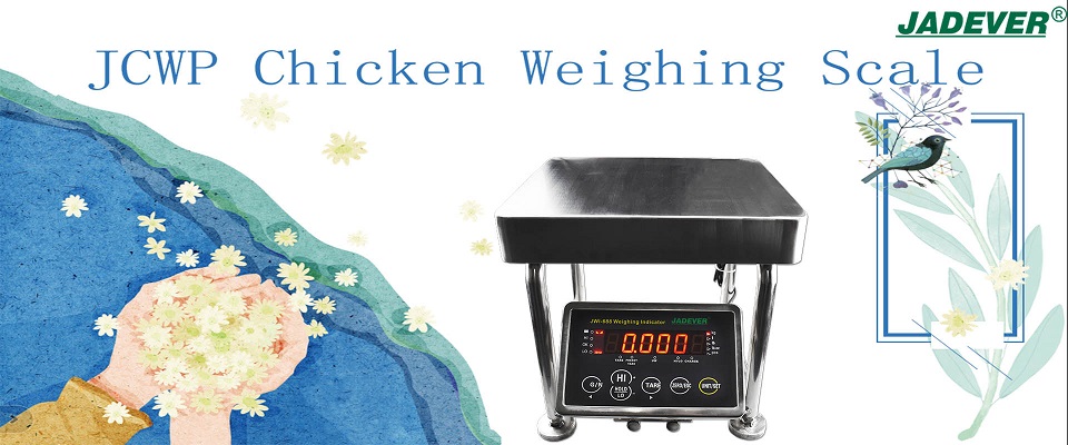 Balance électronique de poids de poulet avec grand indicateur de pesage LED