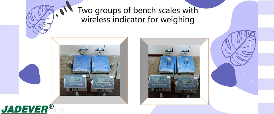 Deux groupes de balances de table avec indicateur sans fil pour le pesage
