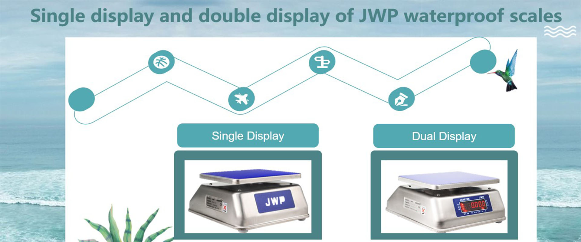 Affichage simple et double affichage des balances étanches JWP

