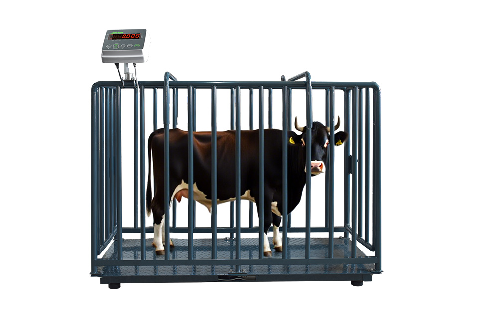 Livestock scale